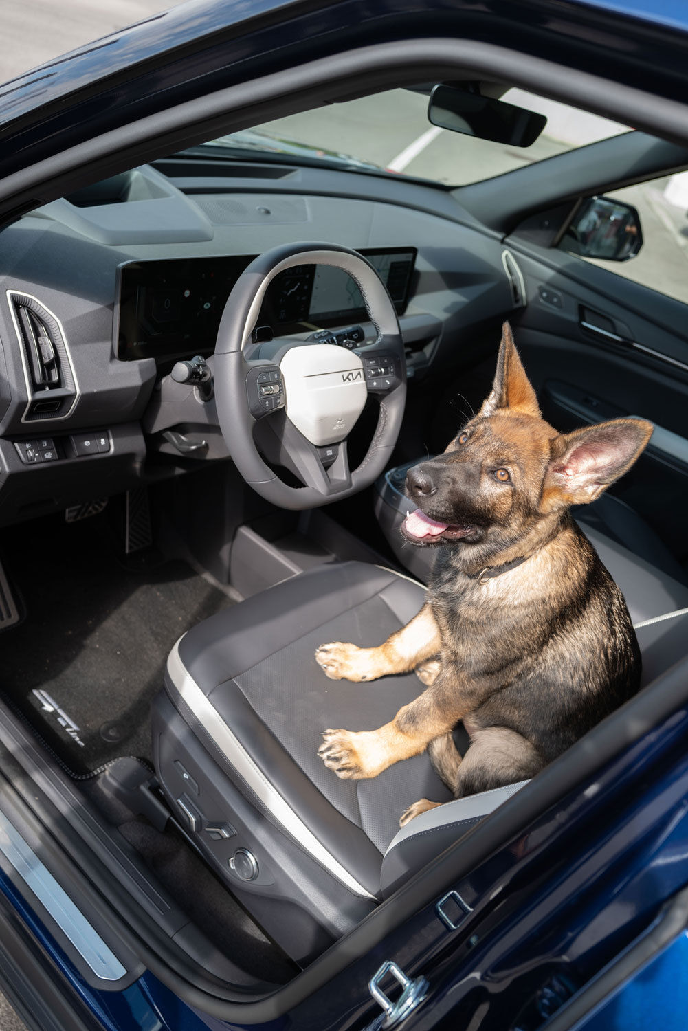 kia-EV5-gtline-mj26-laravadlau-dogmode-highres-03 w.jpg