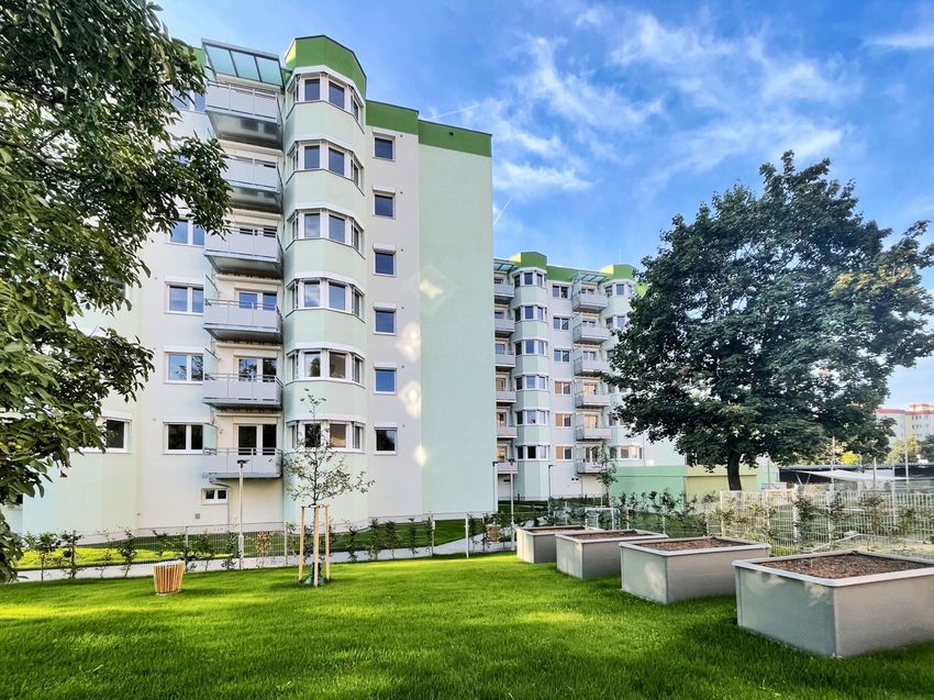 WohnanlagensanierungWrNeustadt.jpg