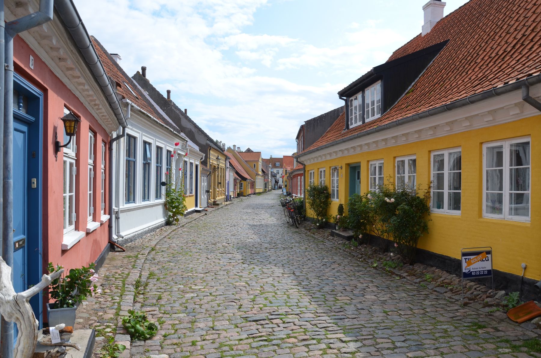 frank p ajj74-denmark-4421956.jpg