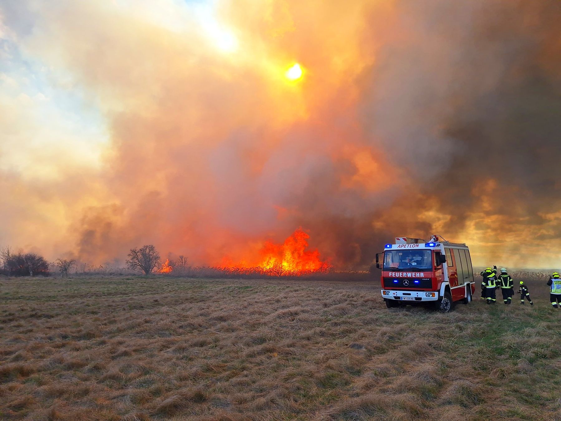 Bgld-Waldbrand(c)BFKDO ND.jpg