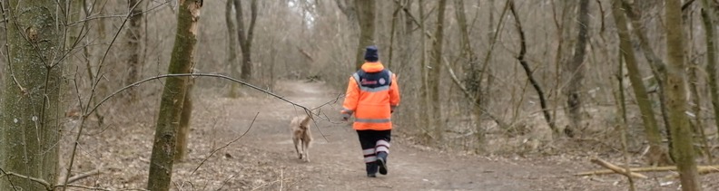 Johanniter Rettungshund "Linnja" und Hundeführerin Margit Handl trainieren die Suche im Waldgebiet.  © spendeninfo.at / Thomas Kronberger