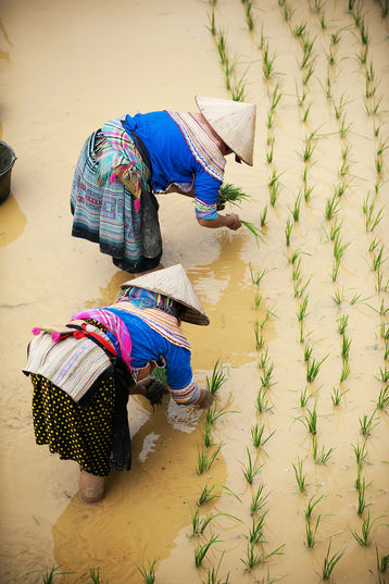 CC BY-NC-ND 2.0 http://bit.ly/OJZNiI CC BY-NC-ND 2.0 http://bit.ly/OJZNiI