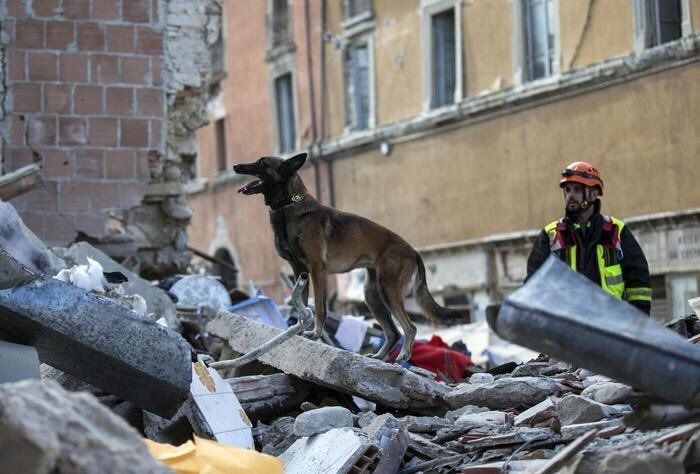 Erdbeben Italien Rotes Kreuz.jpg