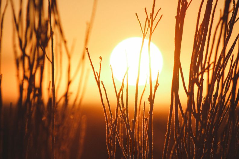 Ein Sonnenaufgang hinter einer Graslandschaft Ein Sonnenaufgang hinter einer Graslandschaft