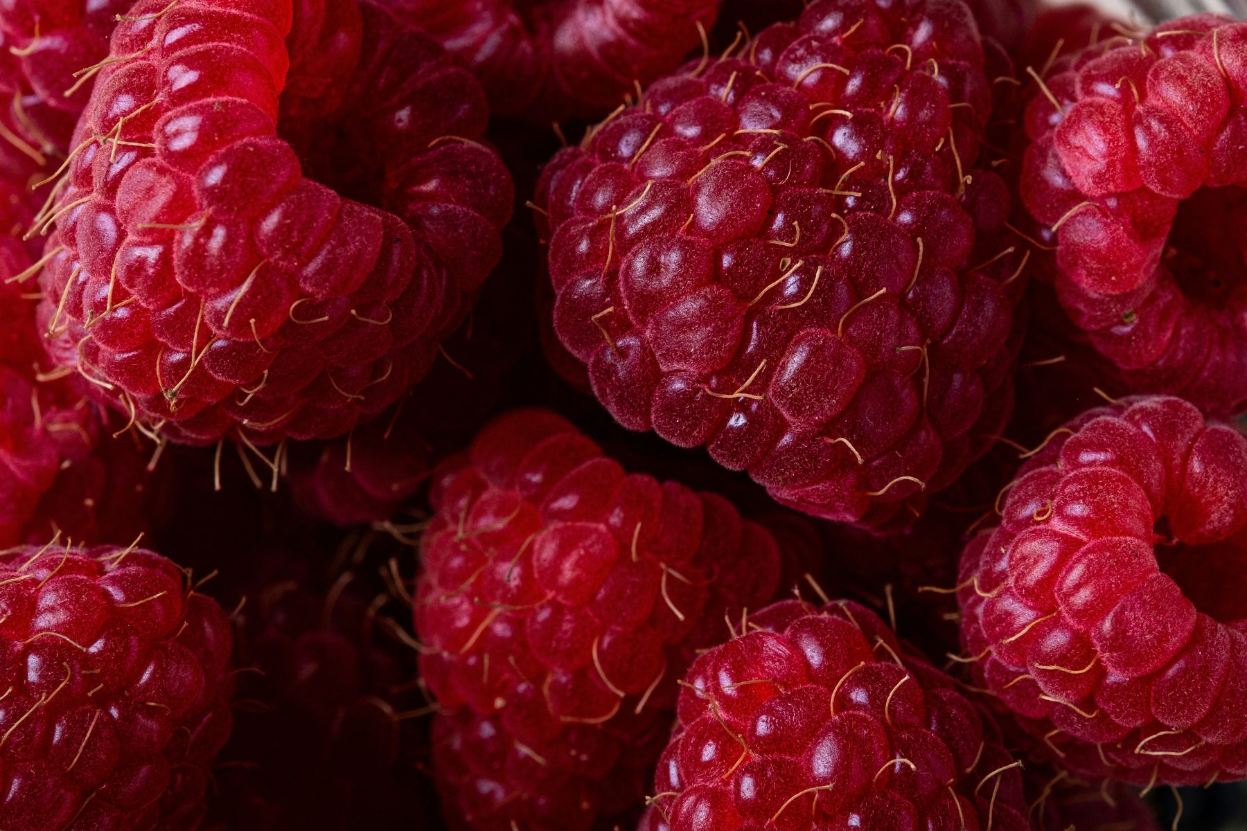 Hautveränderungen die ähnlich Aussehen wie die Struktur einer Himbeeren, können auf die vernachlässigte, tropische Infektionskrankheit Frambösie hinweisen.